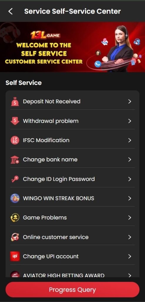13L App Customer Support